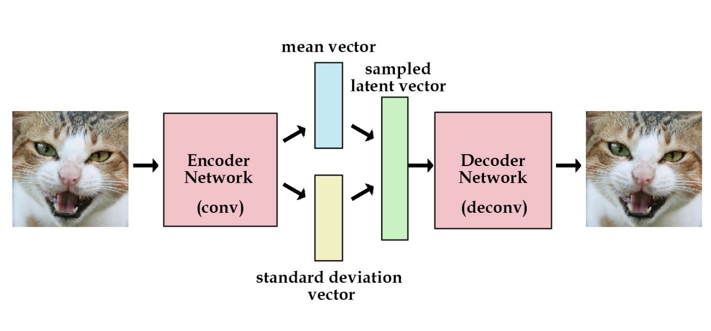 (The structure between encoder network and decoder network is the reparametrize layer. )
