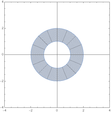 Circular annulus before mapping