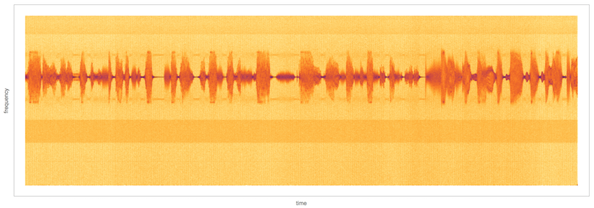 RAW Spectrogram