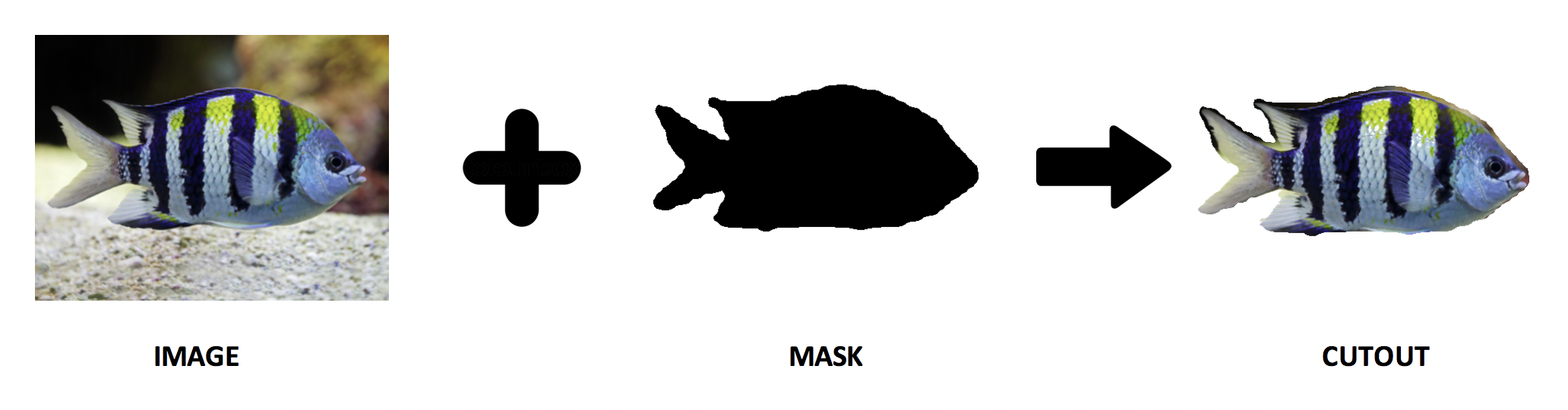 Segmentation Process