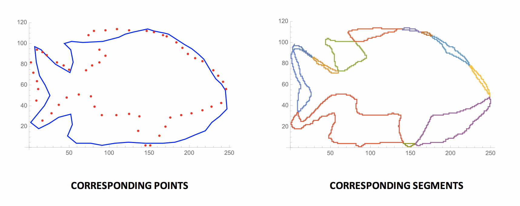 Corresponding Segments