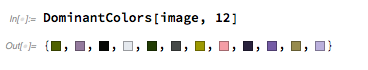 dominant-colors of the image
