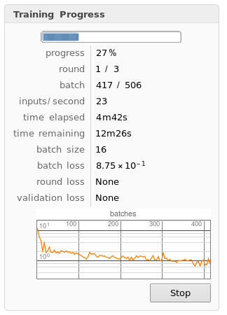 Training the Neural Network