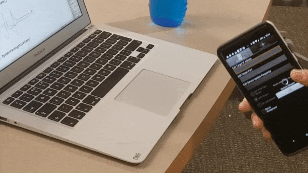 A GIF of gesture recognition in progress
