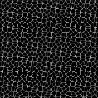 Skeleton of a Moire pattern