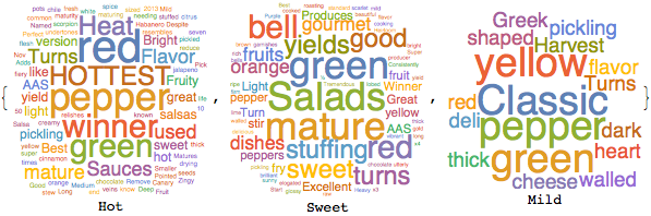 Word Cloud