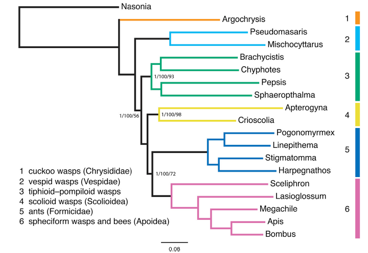 Briar et al. tree