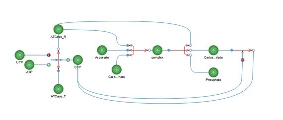 diagram of model