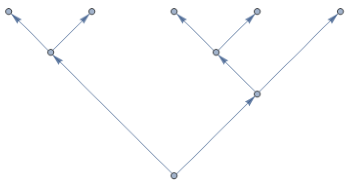 5-leaf graph.