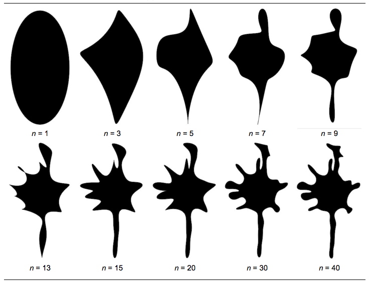 evolution of ellipses with higher harmonics fitting the silhouette 