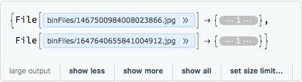 <|BatchSize->2,Round->0,AbsoluteBatch->1|>