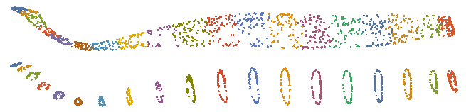 segmentation capture