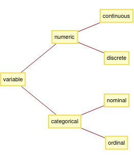 Variable Types