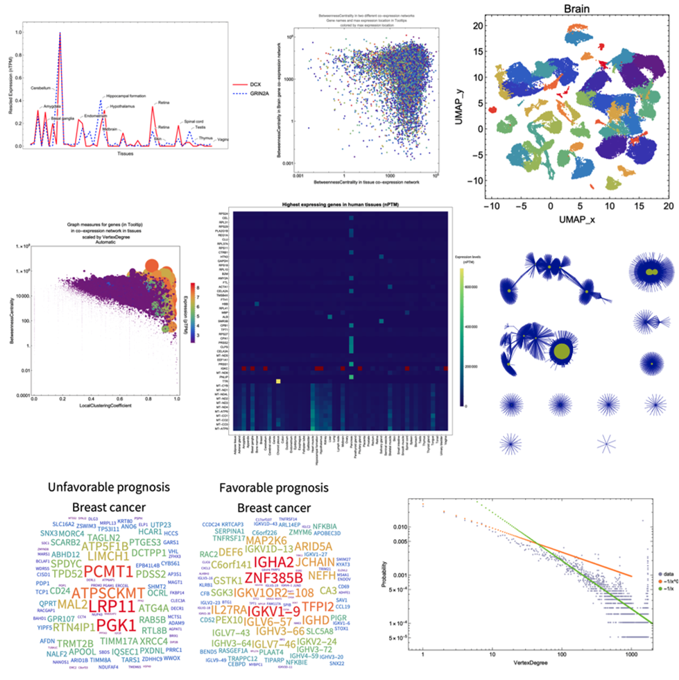 Analyzing and visualizing The Human Protein Atlas data in Wolfram Language