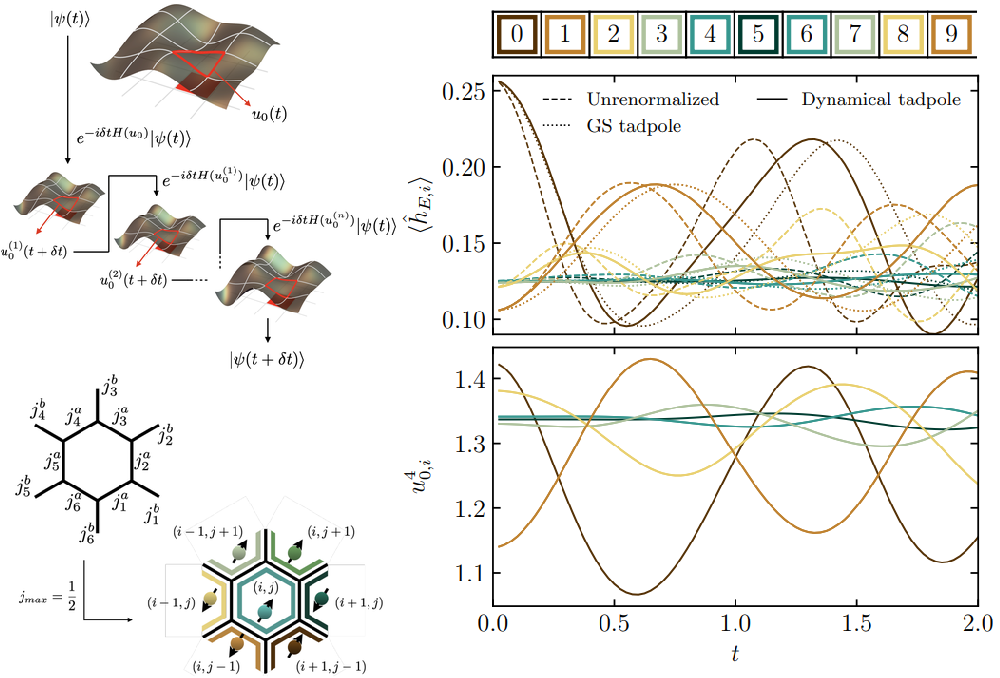 Dynamical local tadpole-improvement in quantum simulations of gauge theories