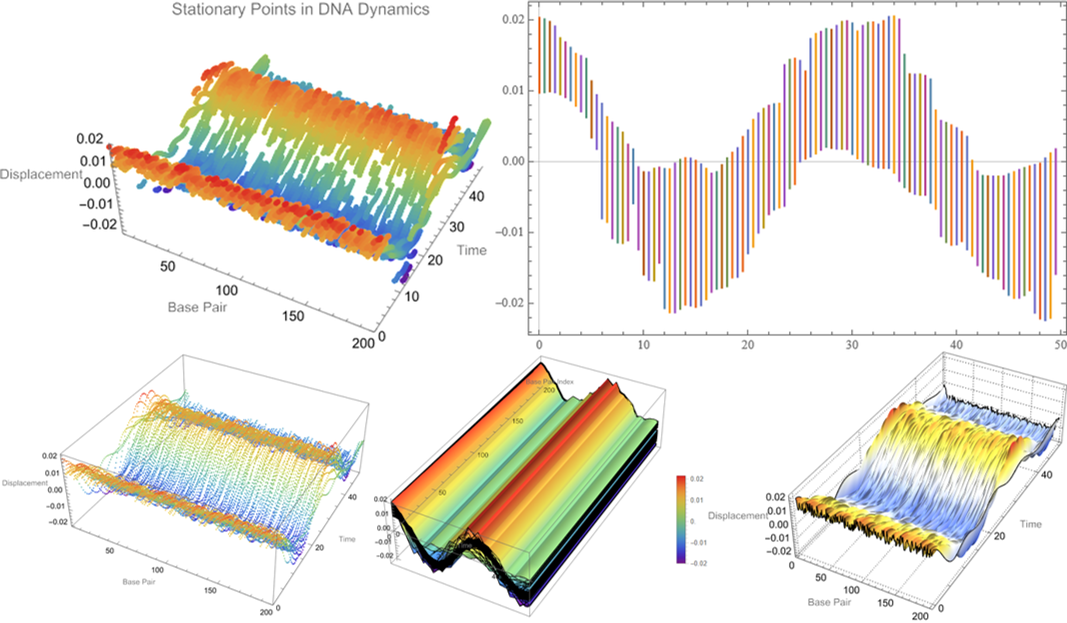 Visualizations of equations of DNA mechanics motions