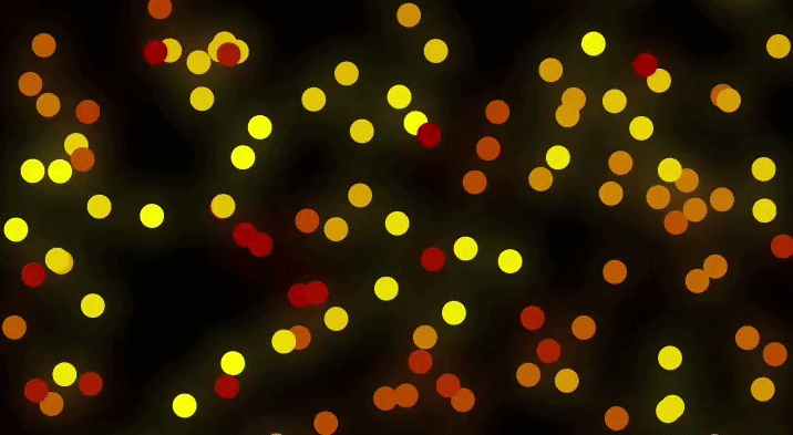 Fireflies or nature's cellular automaton