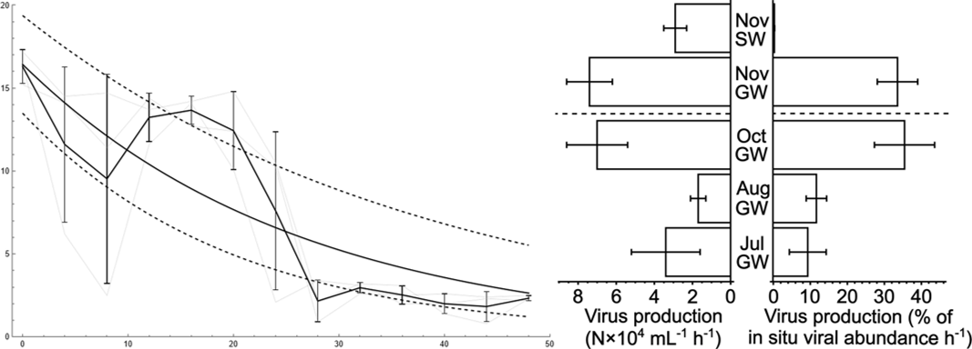 Virus production in shallow groundwater at the bank of the Danube River