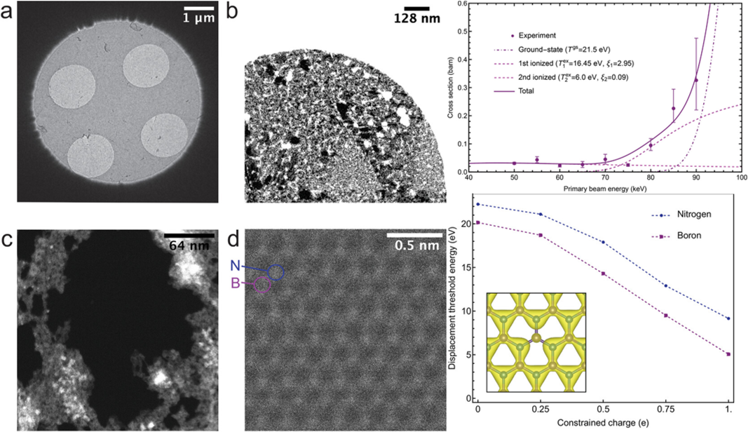 scanning transmission electron microscopy (STEM) images showing an hBN sample at different magnifications. Plot of reduction of the displacement threshold energy as a function of charge constrained on the ejecting element. Plot of displacement cross sections for boron.