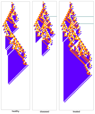 Running Computational Clinical Trials on Cellular Automata