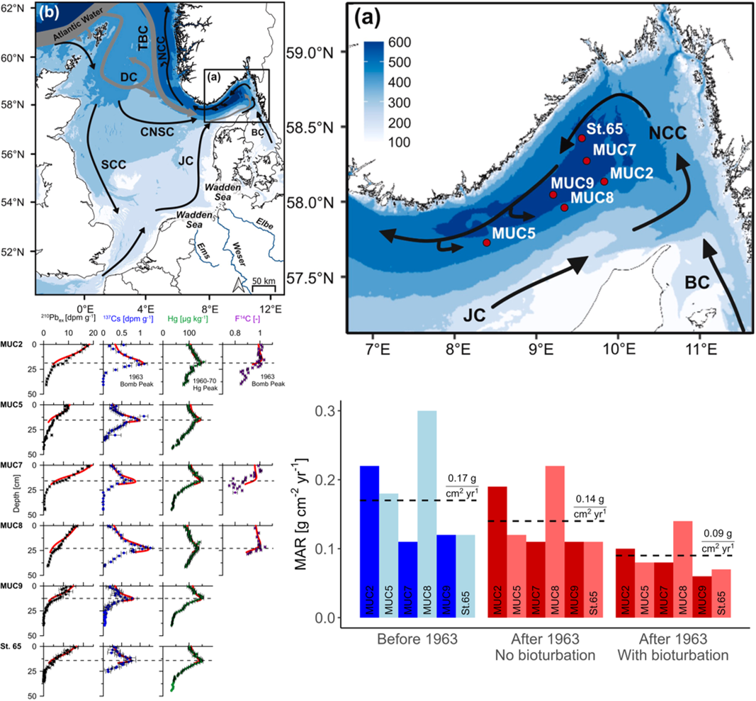 Mass accumulation rates decreased in the Skagerrak basin over the last 100 years