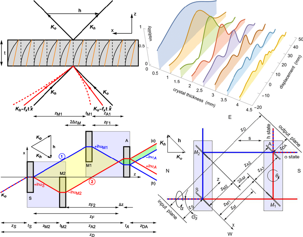 Gravitational and Coriolis forces in crystal neutron-interferometry: theory & numerical simulations