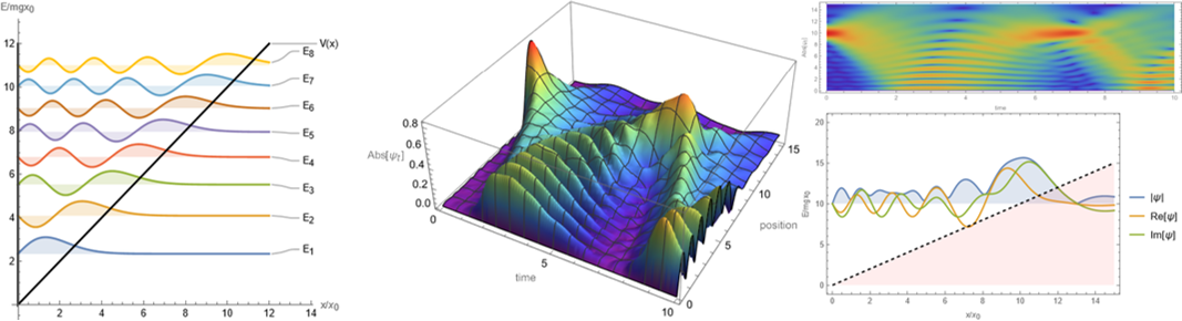 Quantum bouncer: 1-dimensional dynamical behavior