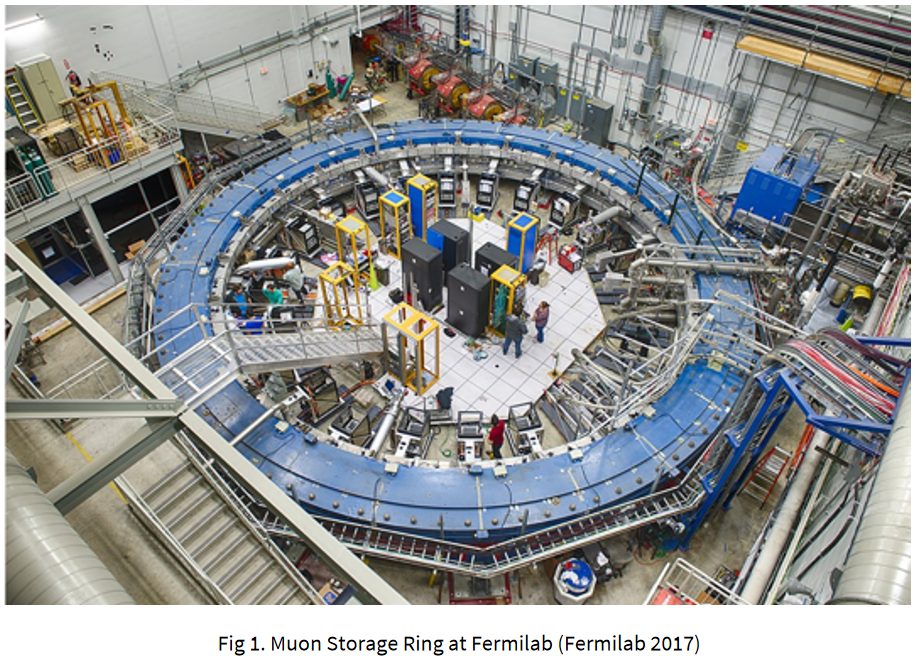 Muon Storage Ring at Fermilab (Fermilab 2017)