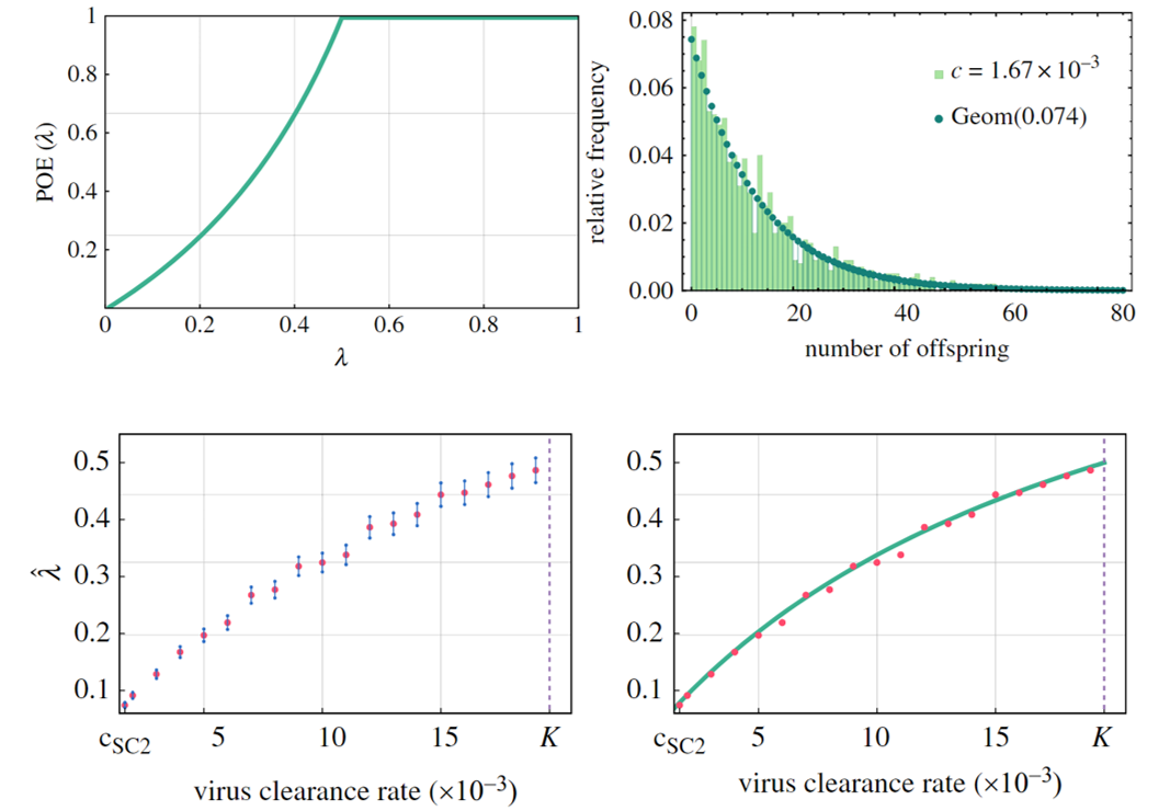 Probability of early infection extinction depends linearly on the virus clearance rate