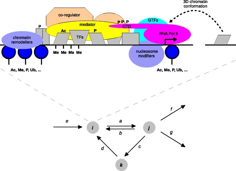A framework for modelling gene regulation which accommodates non-equilibrium mechanisms