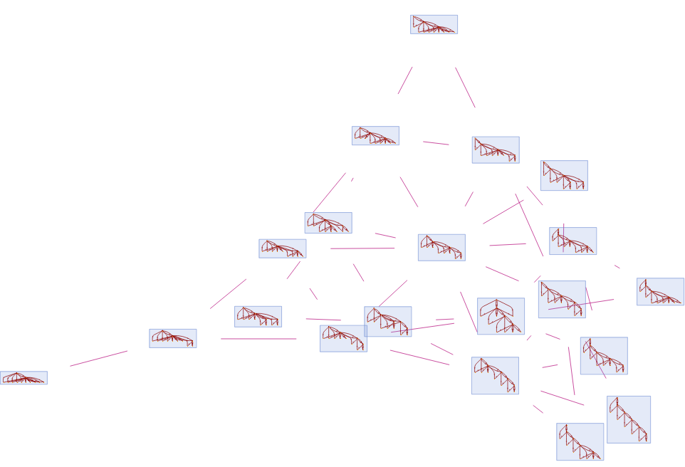 Branchial Graph