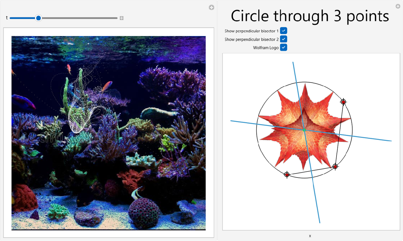 Wolfram & Raspberry Pi 5 — Part 2: compilation and mathematical visualization