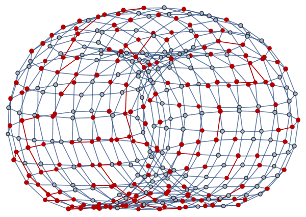 Torus graph with grid probing performed on it