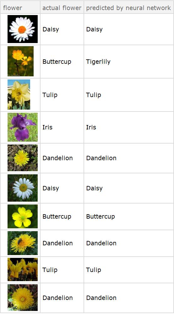 Comparison of actual and predicted flowers