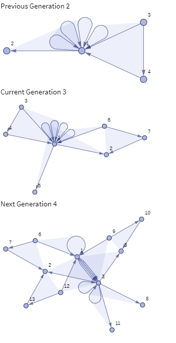 Generations 2 3 4