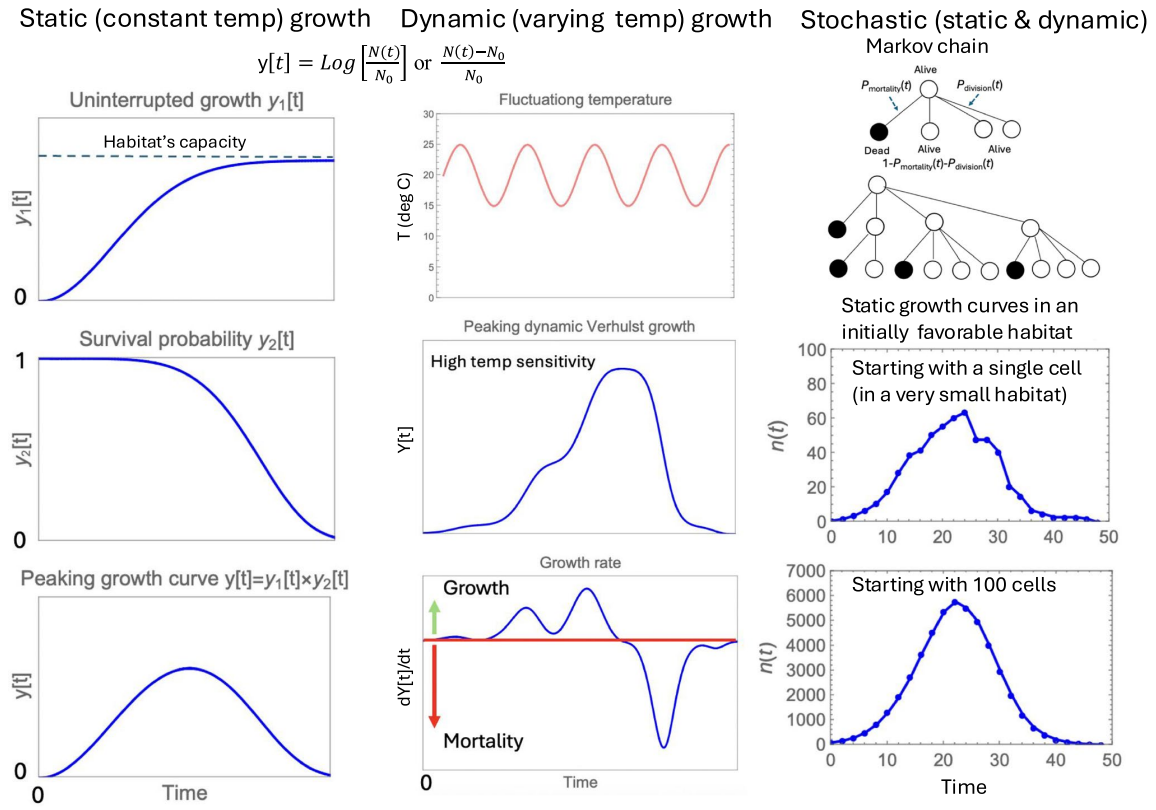 On Static, Dynamic and Stochastic Kinetic Models of Peaking Microbial Growth in a Closed or Resources-limited Habitat