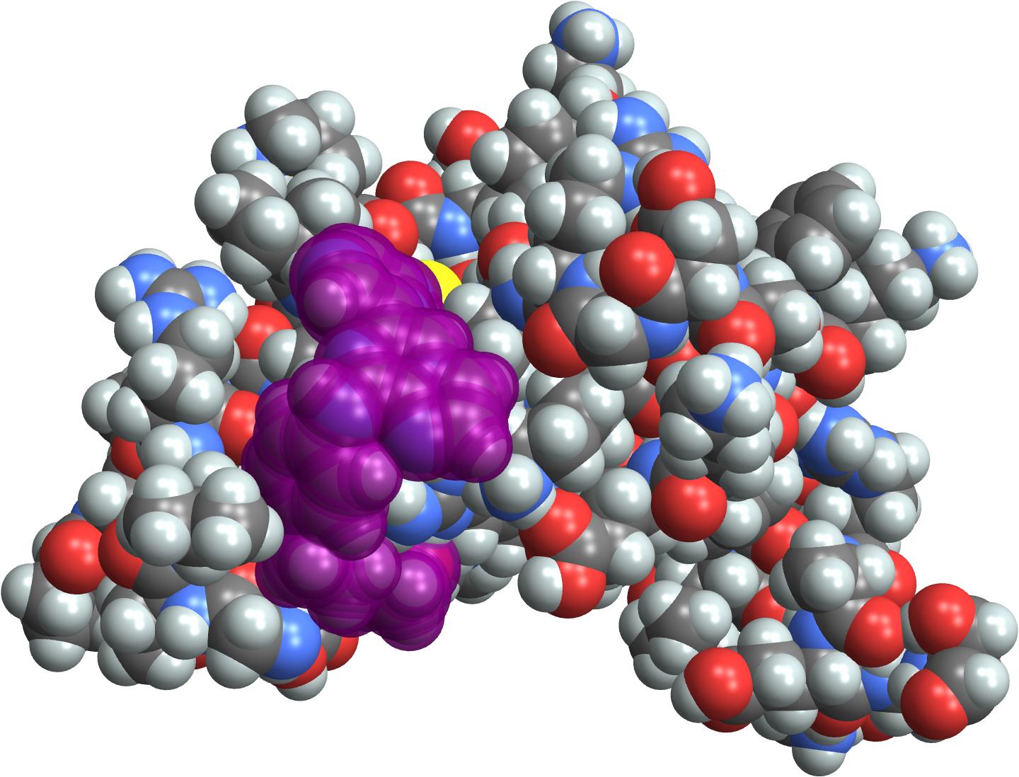 Lanraplenib<em>bindingin<em>purple</em>to<em>interleukin-8</em>