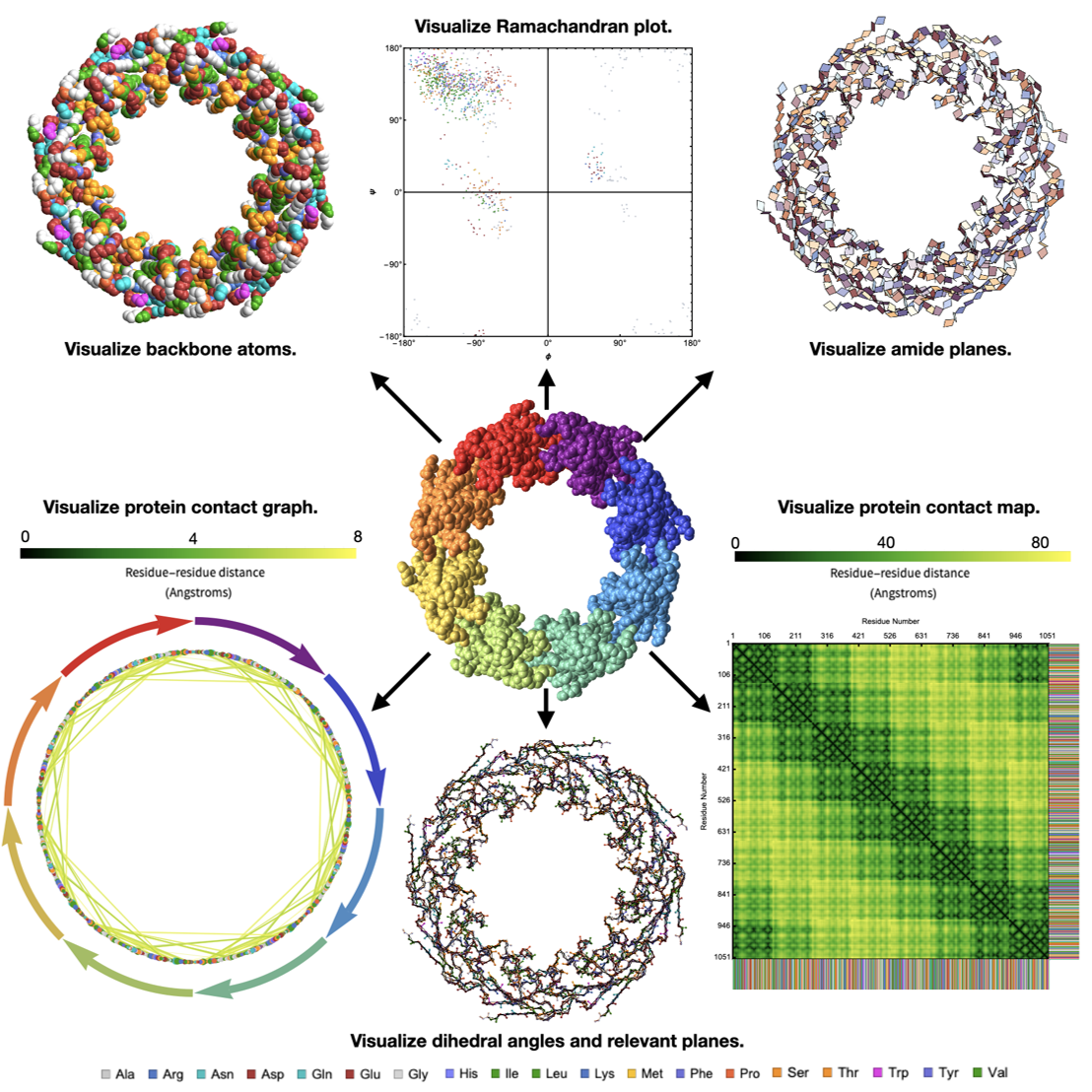 Introducing the Wolfram ProteinVisualization paclet!