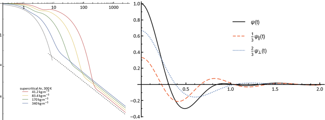 Molecular hydrodynamic theory of the velocity autocorrelation function