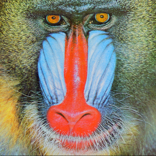 Mandrill test image