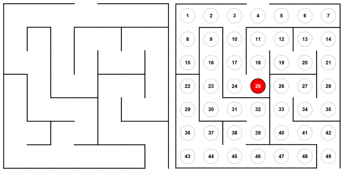 Modeling random walks on mazes via discrete Markov chains