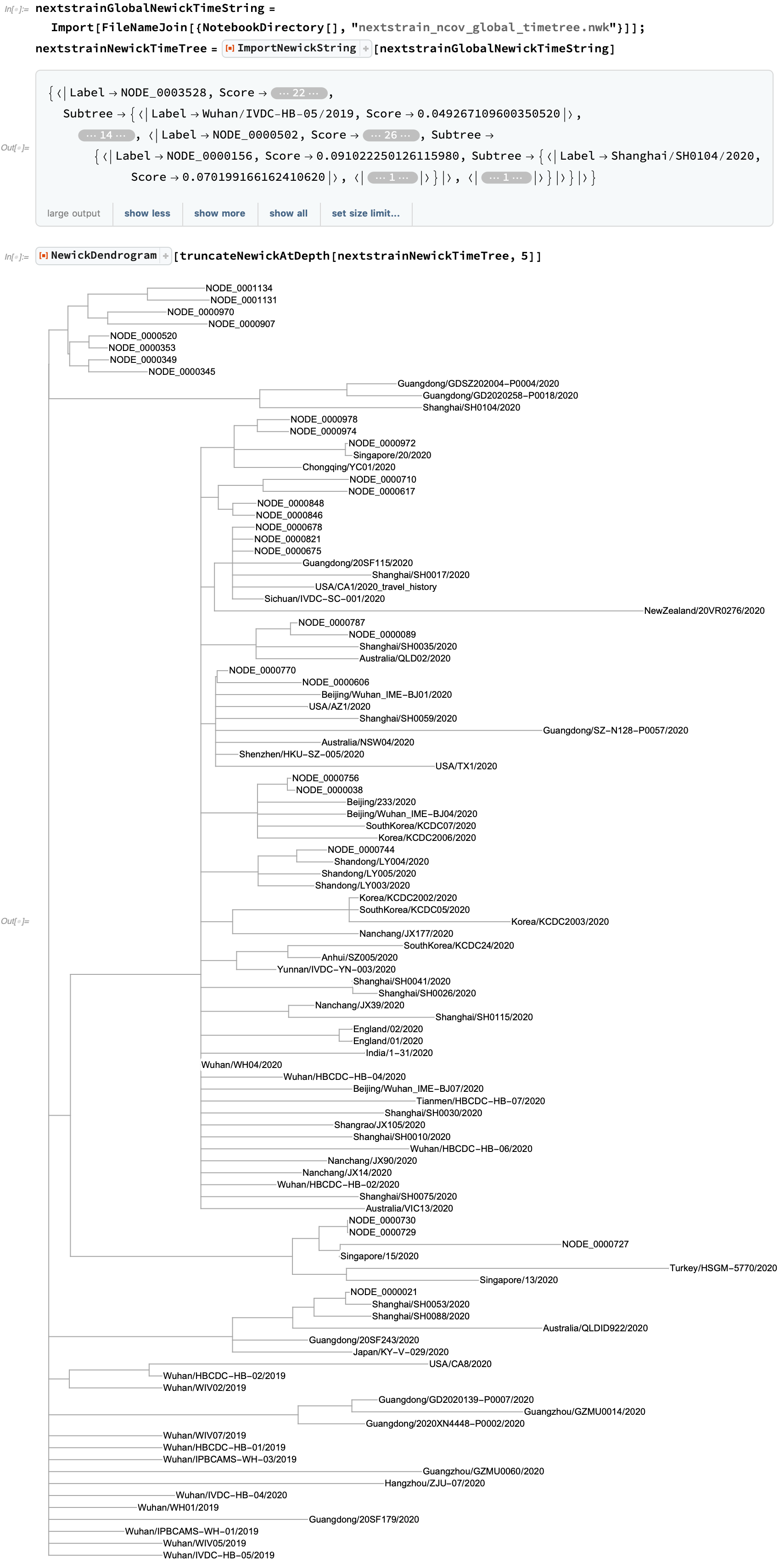 Nextstrain time tree import