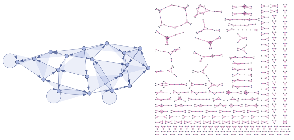 Physical/branchial space