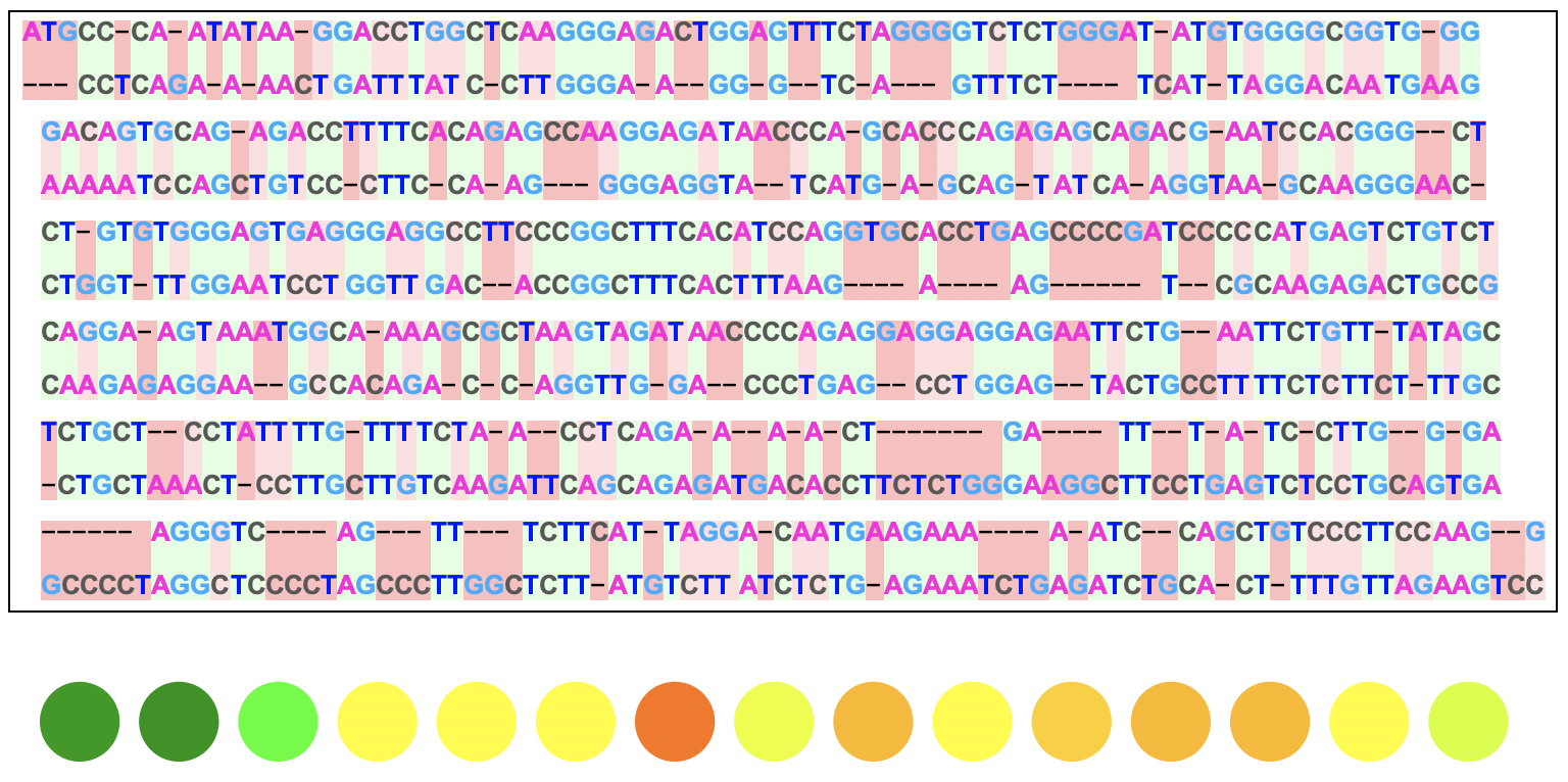 DNA sequence alignment visuals