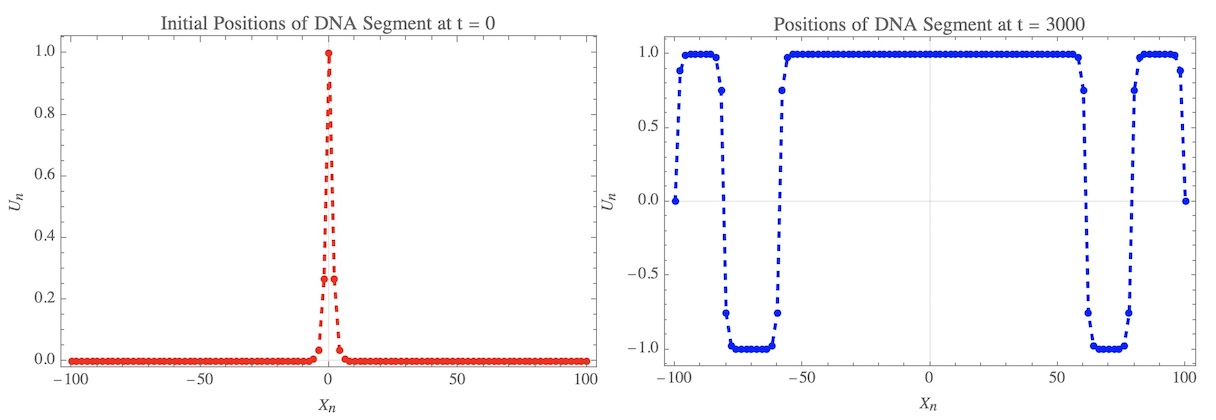 Numerical simulation of the discrete Klein-Gordon equation: study on damped, driven nonlinear waves. DNA positions.