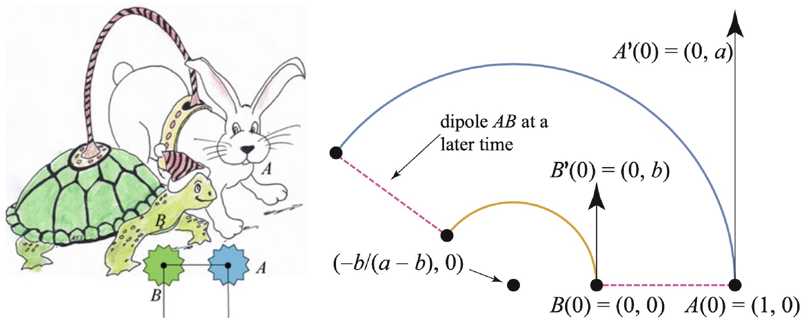 A yoked hare A and tortoise B dipole team, author sketch, along with idealized dipole AB, its ends within local dynamic media environments. Light as a dipole: a tortoise and hare model