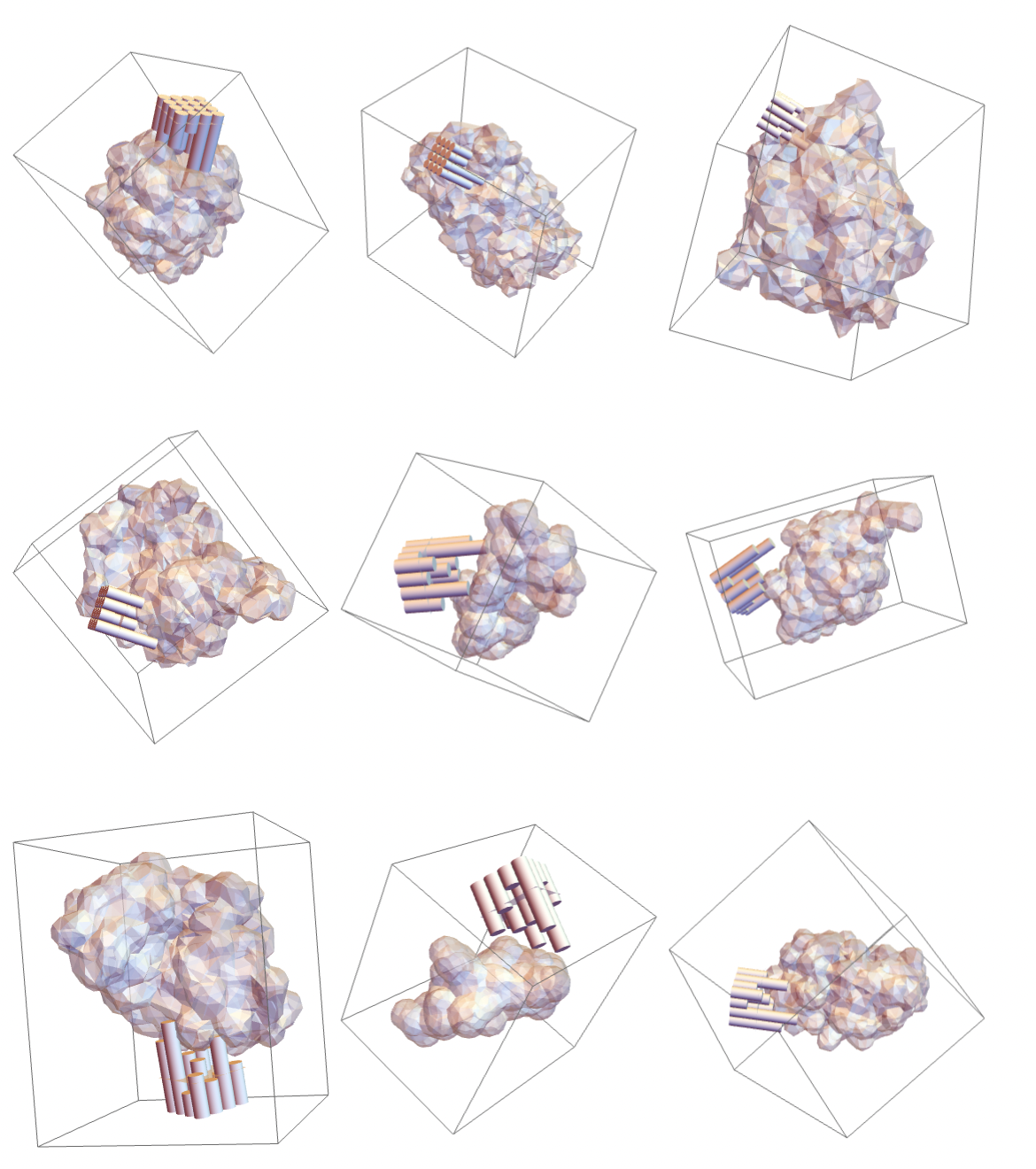 Optimizing 3D geometry for a universal antibody
