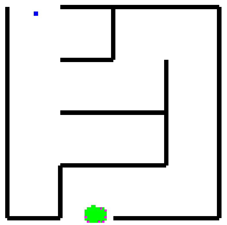 Modeling slime mold intelligence through cellular automata