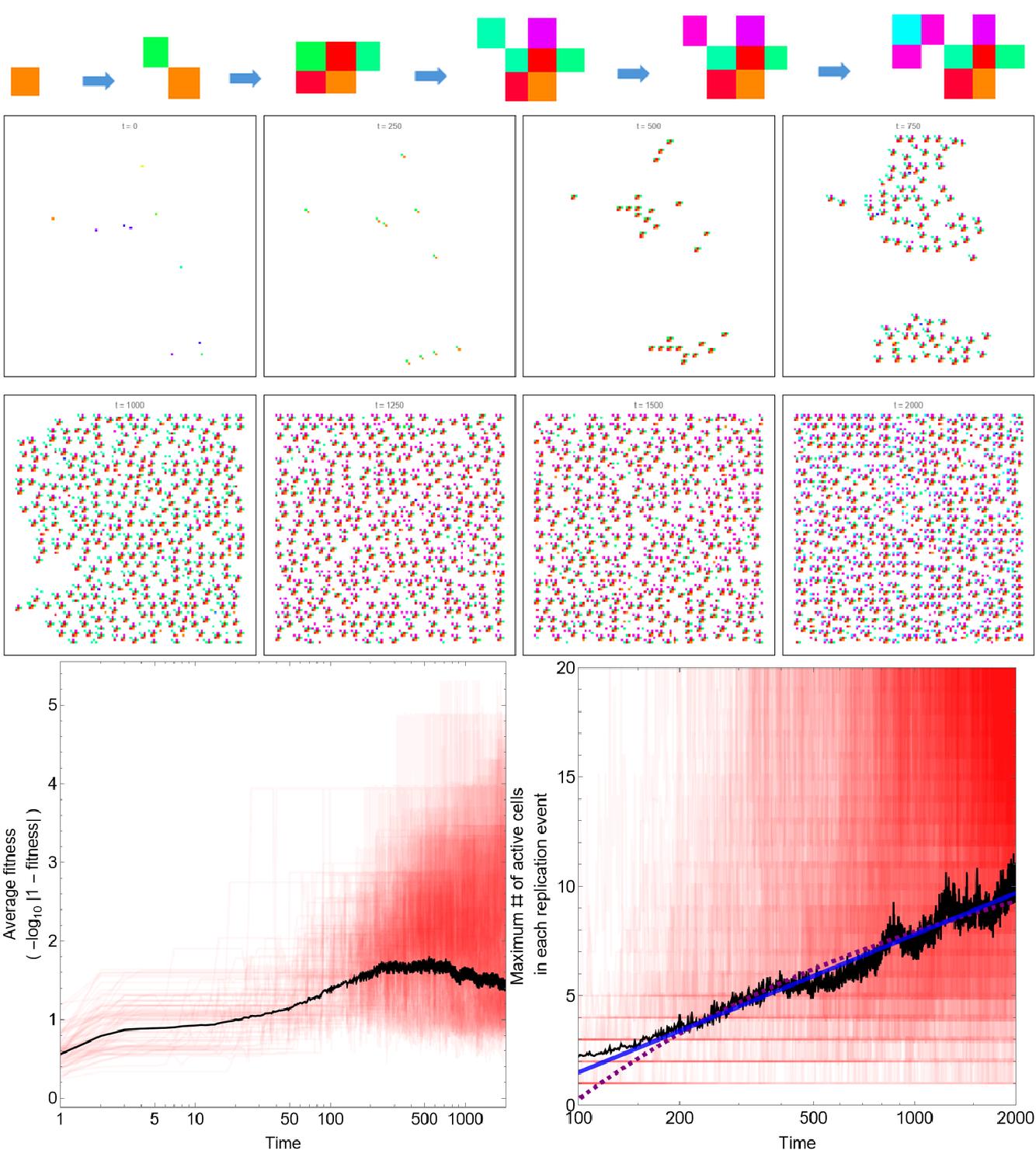 Structural cellular hash chemistry