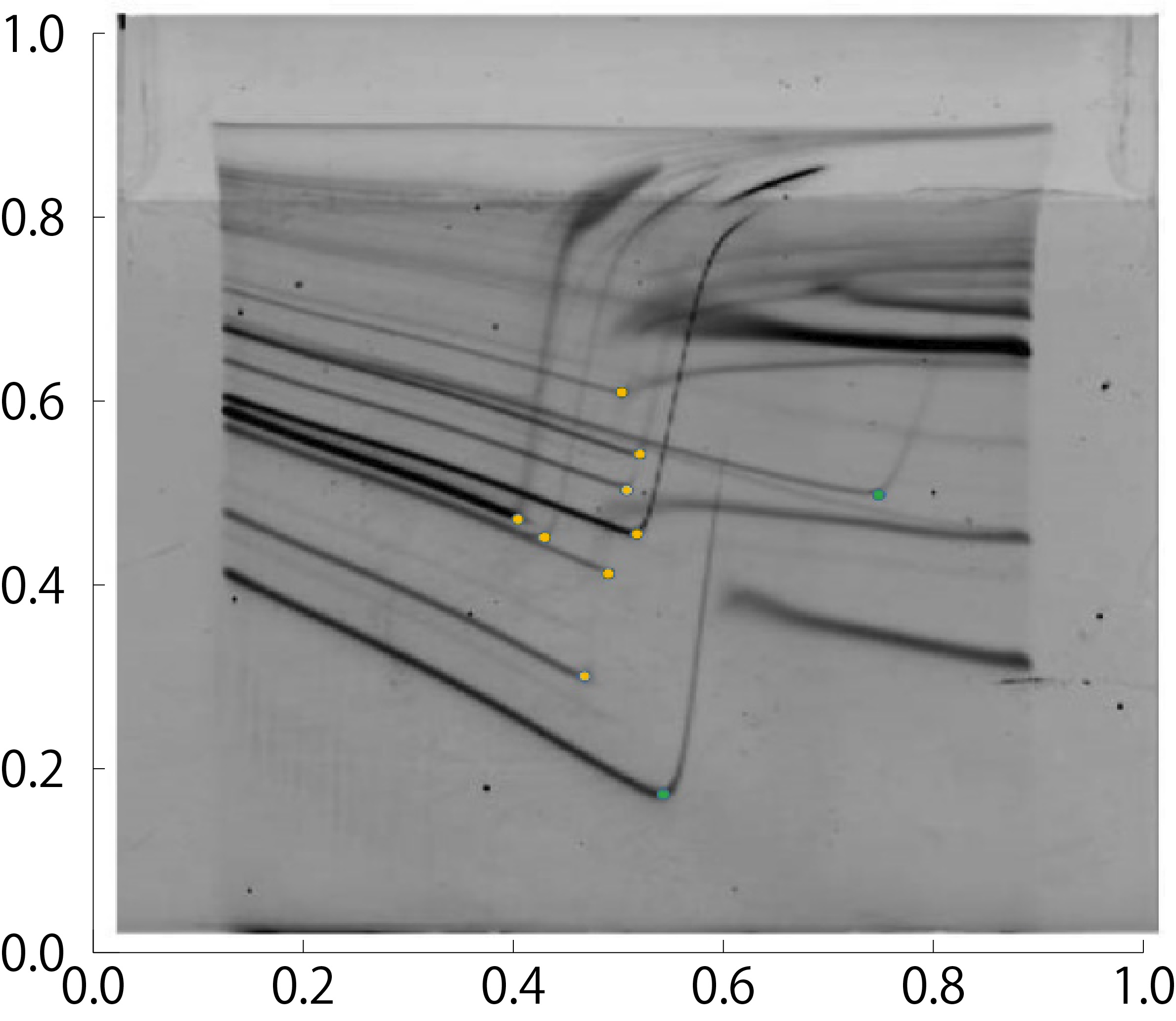 a marked  temperature change electrophoresis image of a gene